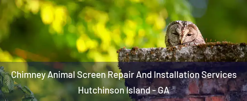 Chimney Animal Screen Repair And Installation Services Hutchinson Island - GA