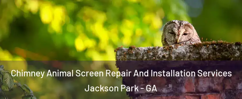 Chimney Animal Screen Repair And Installation Services Jackson Park - GA