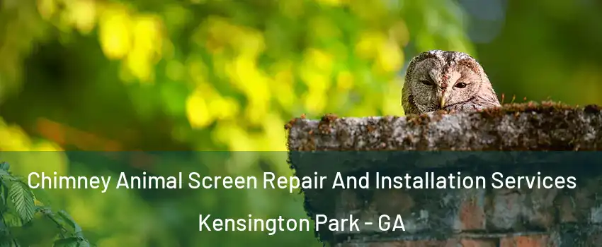 Chimney Animal Screen Repair And Installation Services Kensington Park - GA