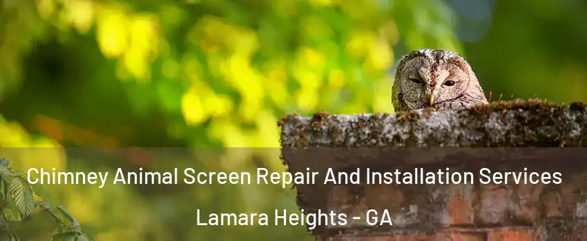 Chimney Animal Screen Repair And Installation Services Lamara Heights - GA