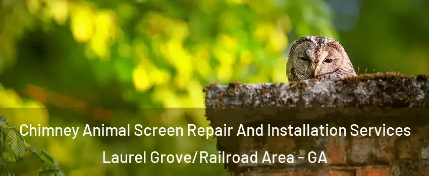 Chimney Animal Screen Repair And Installation Services Laurel Grove/Railroad Area - GA