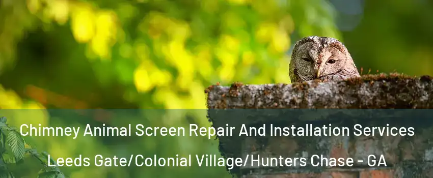 Chimney Animal Screen Repair And Installation Services Leeds Gate/Colonial Village/Hunters Chase - GA
