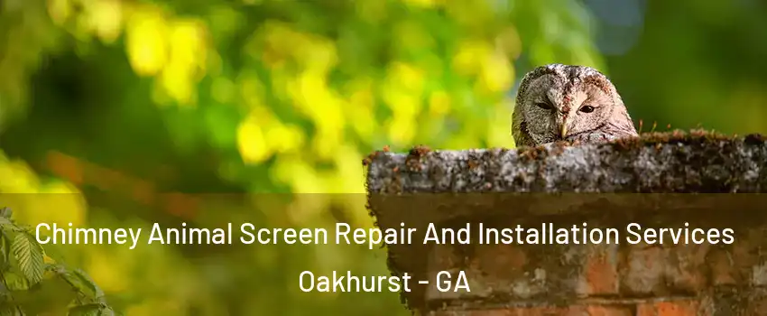 Chimney Animal Screen Repair And Installation Services Oakhurst - GA