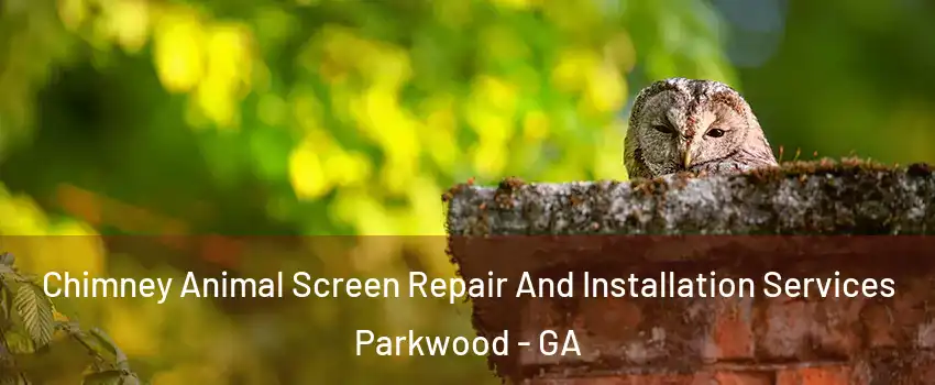 Chimney Animal Screen Repair And Installation Services Parkwood - GA