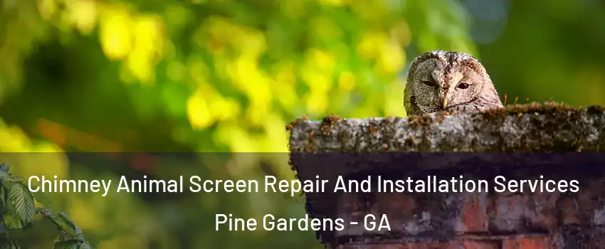 Chimney Animal Screen Repair And Installation Services Pine Gardens - GA