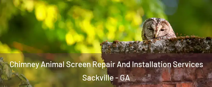 Chimney Animal Screen Repair And Installation Services Sackville - GA