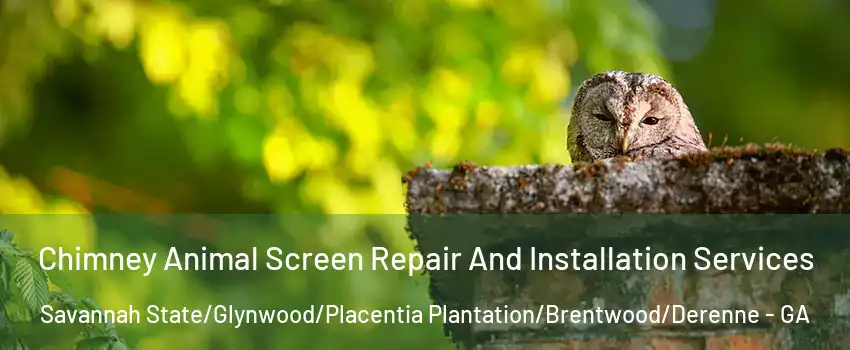 Chimney Animal Screen Repair And Installation Services Savannah State/Glynwood/Placentia Plantation/Brentwood/Derenne - GA