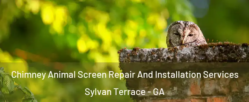 Chimney Animal Screen Repair And Installation Services Sylvan Terrace - GA