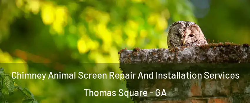 Chimney Animal Screen Repair And Installation Services Thomas Square - GA