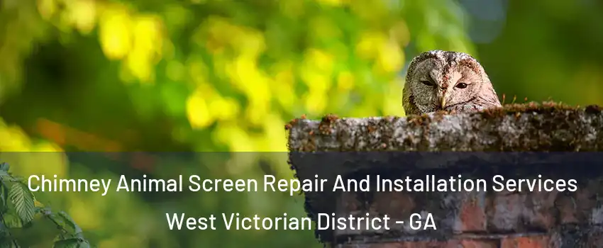 Chimney Animal Screen Repair And Installation Services West Victorian District - GA