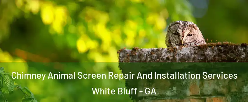 Chimney Animal Screen Repair And Installation Services White Bluff - GA