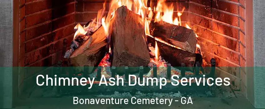 Chimney Ash Dump Services Bonaventure Cemetery - GA