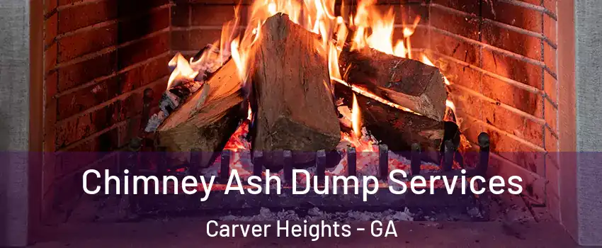 Chimney Ash Dump Services Carver Heights - GA