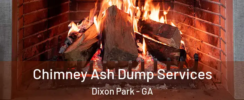 Chimney Ash Dump Services Dixon Park - GA