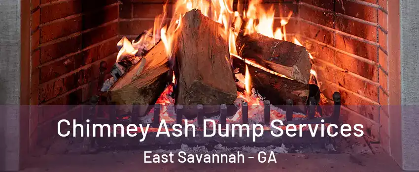 Chimney Ash Dump Services East Savannah - GA