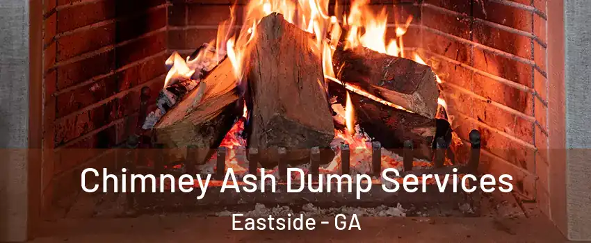 Chimney Ash Dump Services Eastside - GA