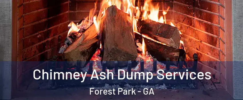 Chimney Ash Dump Services Forest Park - GA
