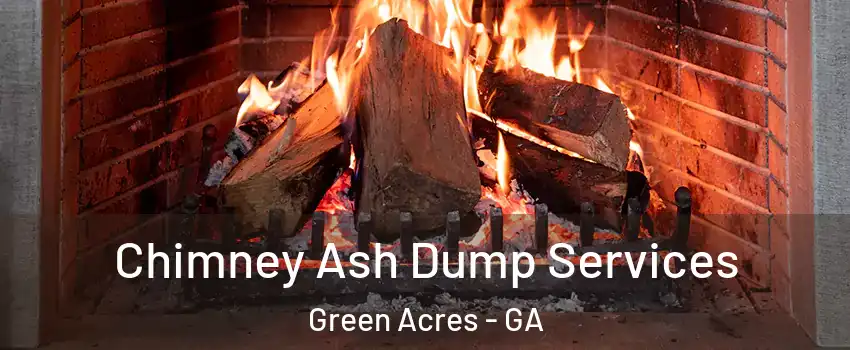 Chimney Ash Dump Services Green Acres - GA