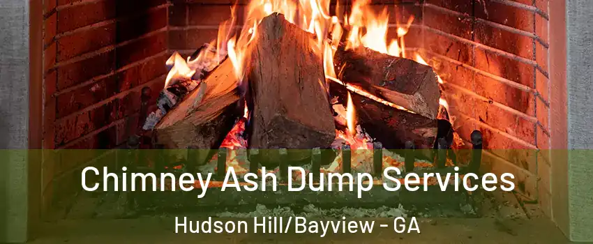 Chimney Ash Dump Services Hudson Hill/Bayview - GA