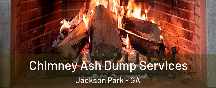 Chimney Ash Dump Services Jackson Park - GA
