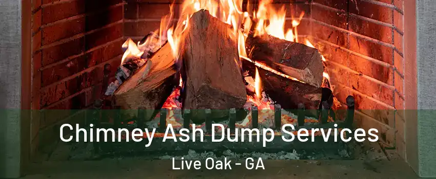 Chimney Ash Dump Services Live Oak - GA