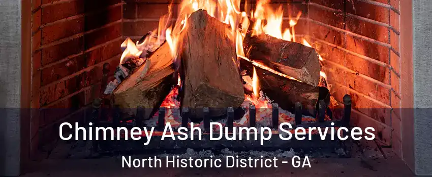 Chimney Ash Dump Services North Historic District - GA