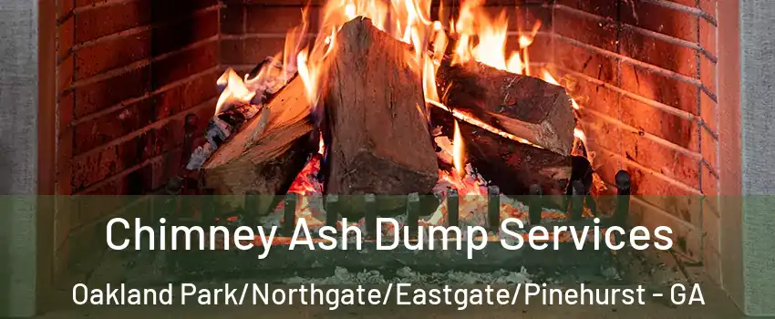 Chimney Ash Dump Services Oakland Park/Northgate/Eastgate/Pinehurst - GA