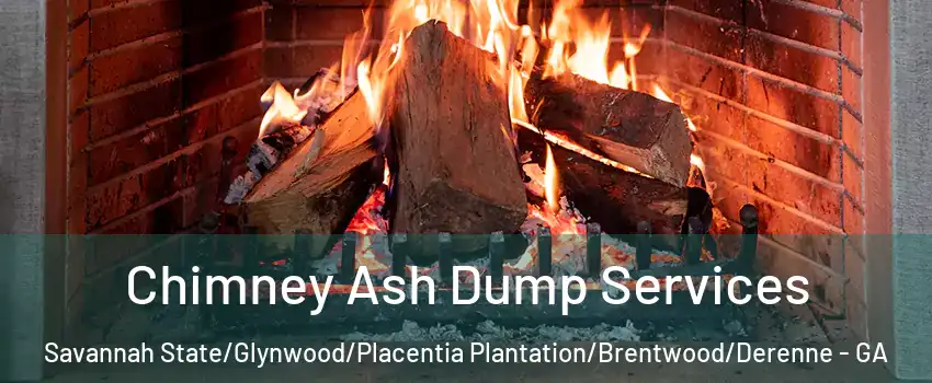 Chimney Ash Dump Services Savannah State/Glynwood/Placentia Plantation/Brentwood/Derenne - GA
