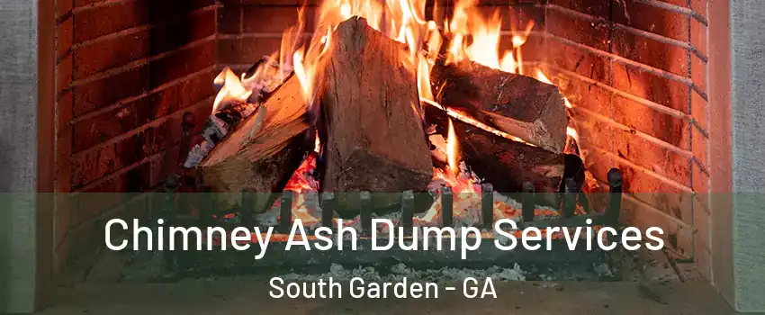 Chimney Ash Dump Services South Garden - GA
