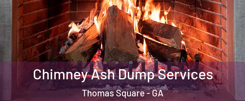 Chimney Ash Dump Services Thomas Square - GA