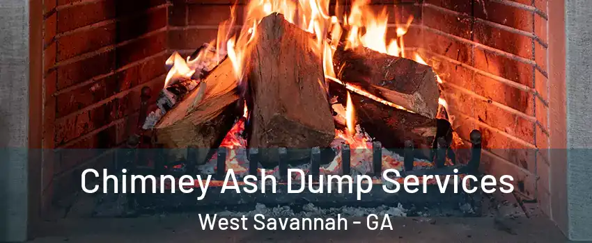 Chimney Ash Dump Services West Savannah - GA