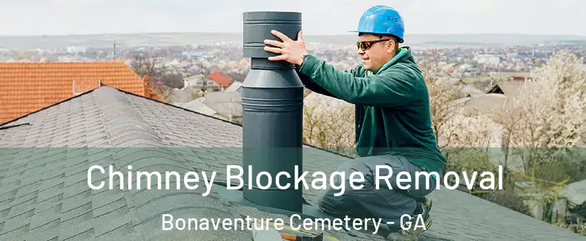 Chimney Blockage Removal Bonaventure Cemetery - GA