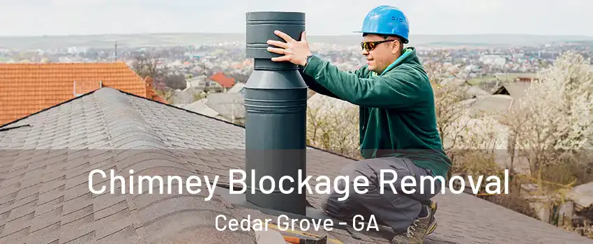 Chimney Blockage Removal Cedar Grove - GA
