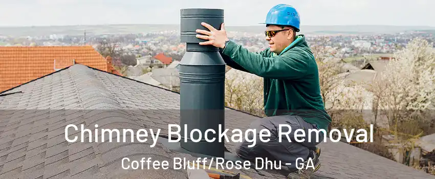 Chimney Blockage Removal Coffee Bluff/Rose Dhu - GA