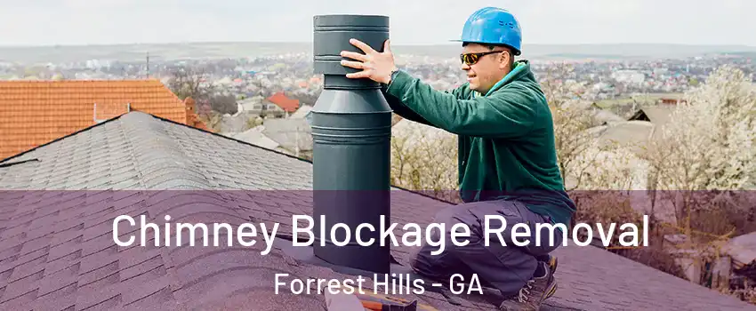 Chimney Blockage Removal Forrest Hills - GA