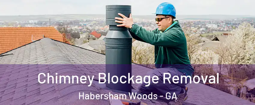 Chimney Blockage Removal Habersham Woods - GA