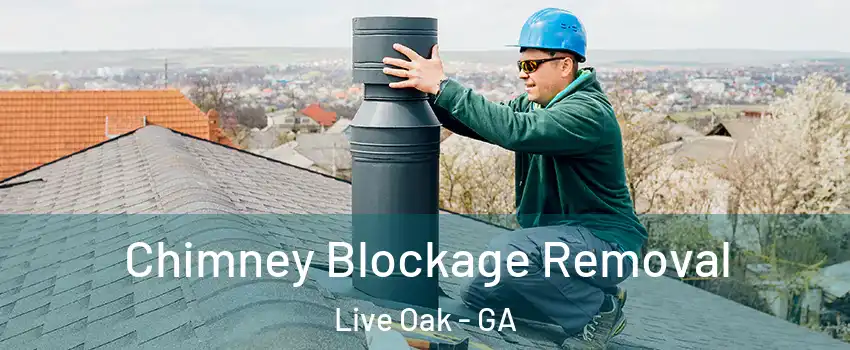 Chimney Blockage Removal Live Oak - GA