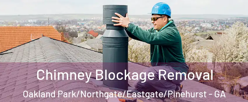 Chimney Blockage Removal Oakland Park/Northgate/Eastgate/Pinehurst - GA
