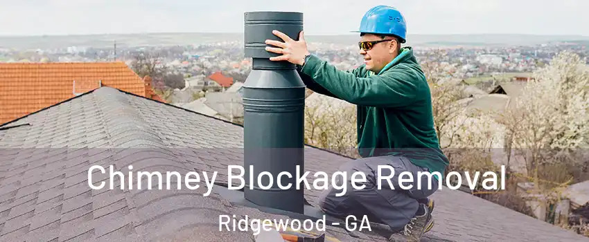 Chimney Blockage Removal Ridgewood - GA