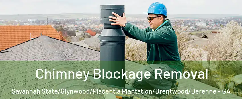 Chimney Blockage Removal Savannah State/Glynwood/Placentia Plantation/Brentwood/Derenne - GA