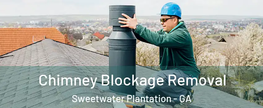 Chimney Blockage Removal Sweetwater Plantation - GA