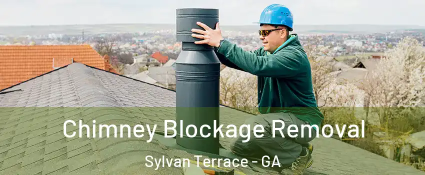 Chimney Blockage Removal Sylvan Terrace - GA