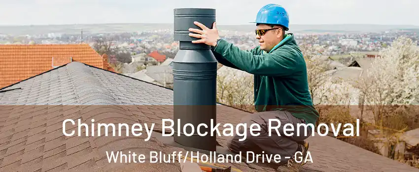 Chimney Blockage Removal White Bluff/Holland Drive - GA