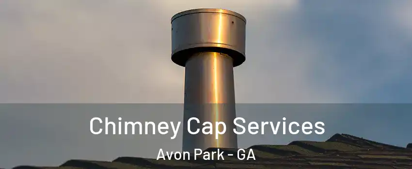 Chimney Cap Services Avon Park - GA