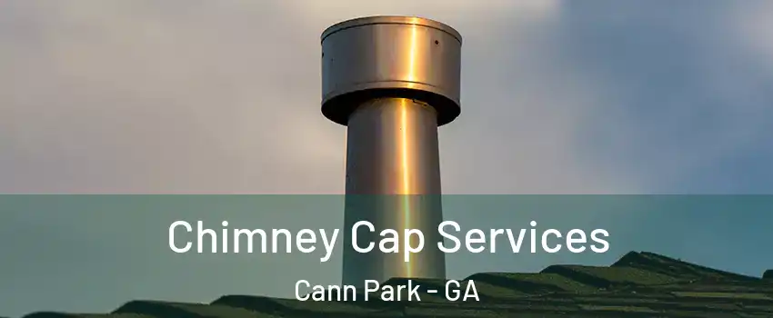 Chimney Cap Services Cann Park - GA