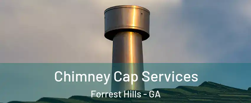 Chimney Cap Services Forrest Hills - GA
