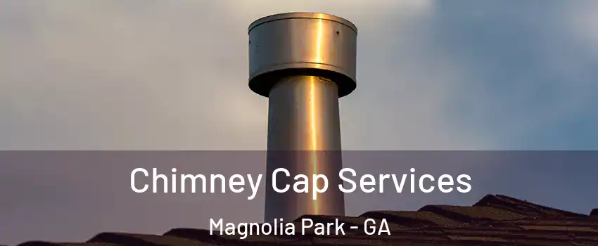 Chimney Cap Services Magnolia Park - GA