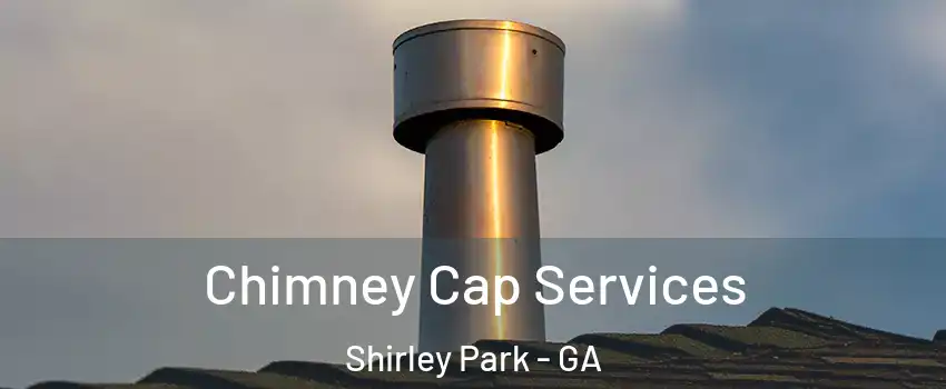 Chimney Cap Services Shirley Park - GA