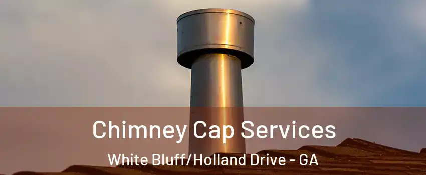 Chimney Cap Services White Bluff/Holland Drive - GA