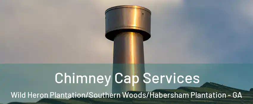 Chimney Cap Services Wild Heron Plantation/Southern Woods/Habersham Plantation - GA
